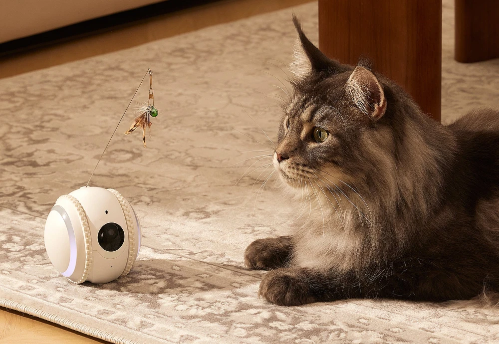 home camera for pets